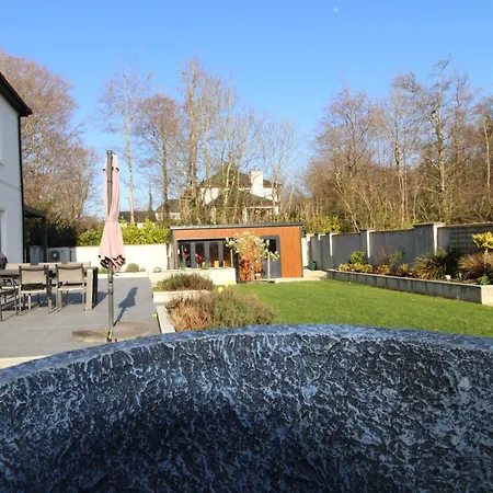 Clarinbridge Large New *