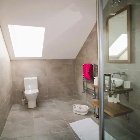 Clarinbridge Large New