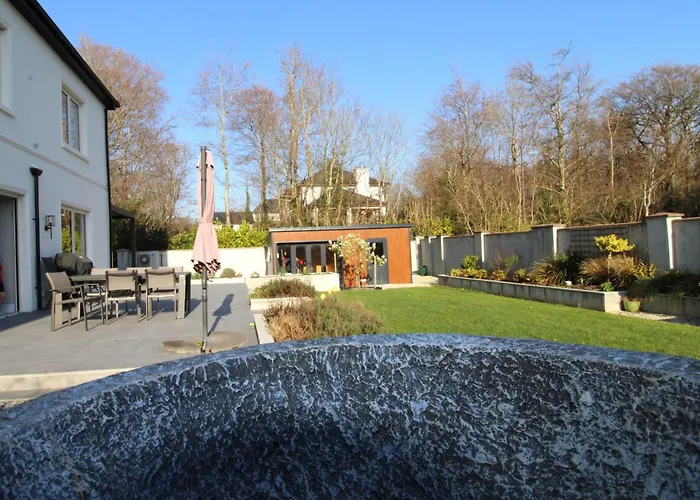 Clarinbridge Large New *