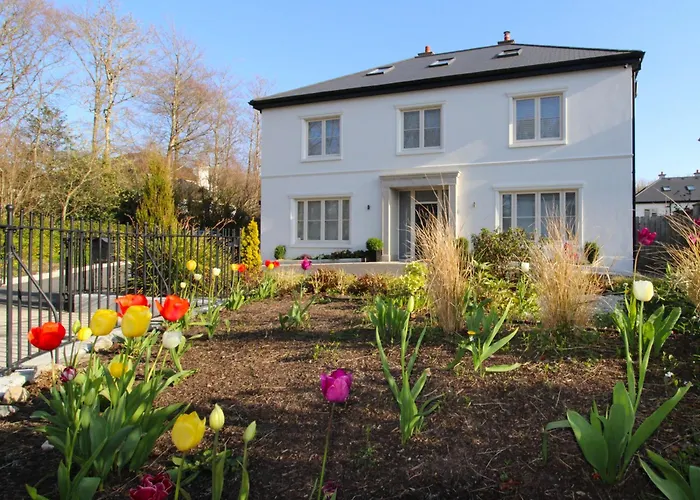 Vakantiehuis Clarinbridge Large New