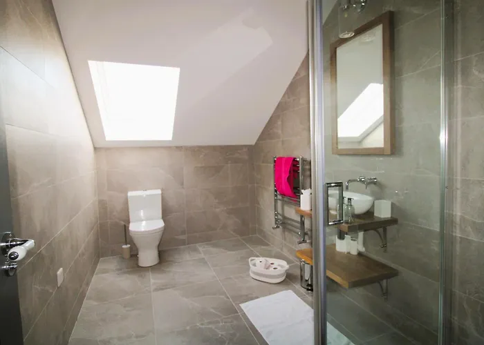 Clarinbridge Large New