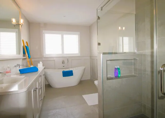 Clarinbridge Large New