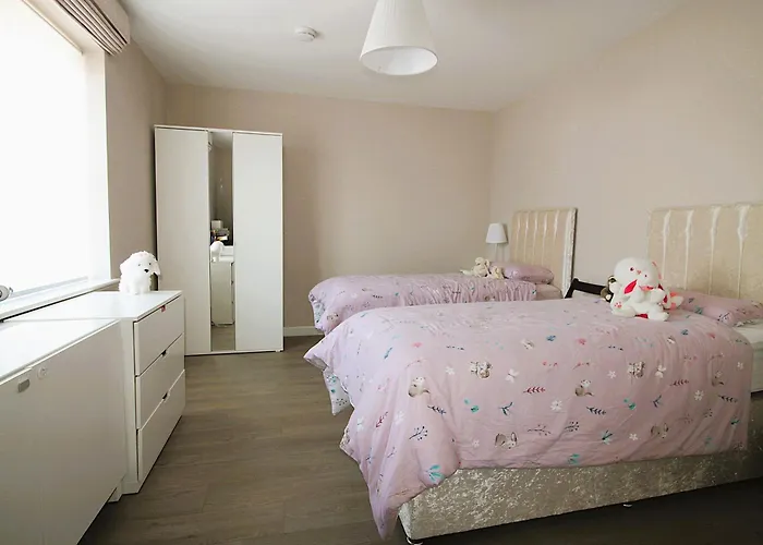 Vakantiehuis Clarinbridge Large New *